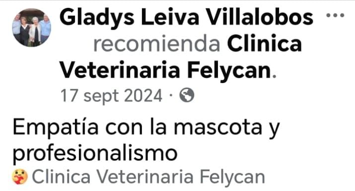 Opinión verificada 1 — Felycan