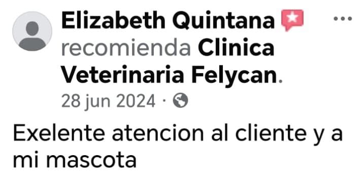 Opinión verificada 2 — Felycan