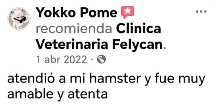 Opinión verificada 3 — Felycan