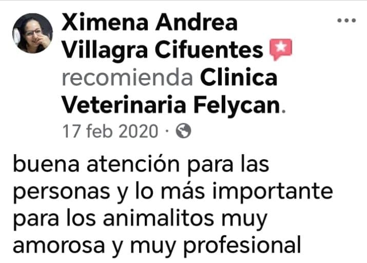 Opinión verificada 4 — Felycan